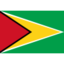 Flag of Guyana